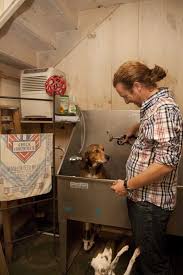 Maybe you would like to learn more about one of these? Boarding Walkandtrain Com