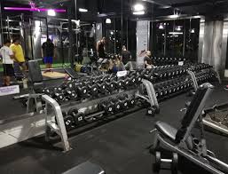 Celebrity fitness currently has 27 clubs in 3 different countries, and operates 3 different gym brands: Celebrity Fitness The Mines Timetable