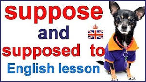 You are supposed to clean your room before mom comes home. Suppose And Supposed To English Lesson Youtube