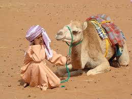 Скачать camel camel apk 1.65 для андроид. Free Photo Bedouin Camel Desert Nature Sand Camel Driver Hippopx