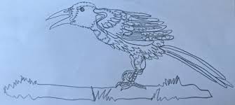 Sergio Ibarra Mellado Dibujos Con Un Solo Trazo