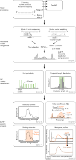 Atc will not move to position. Selective Ribosome Profiling To Study Interactions Of Translating Ribosomes In Yeast Nature Protocols
