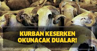 29 temmuz 2020, 18:14 diğer Kurban Keserken Okunacak Dualar Kurban Keserken Dikkat Edilmesi Gerekenler Neler Takvim