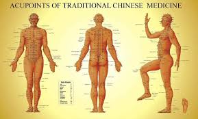 73 inquisitive acupuncture diagrams