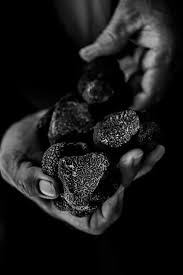Ouverture Des Marches Aux De Sorges En Perigord Le Dimanche 2 Decembre 2018 Truffe Fruits Et Legumes Recette