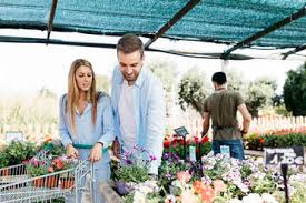 We did not find results for: Shopping Cart With Plants And Flowers In Plant Nursery Stockphoto