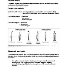 Gandire Rapida Gandire Lenta Daniel Kahneman Pdf 9n0krx52024v
