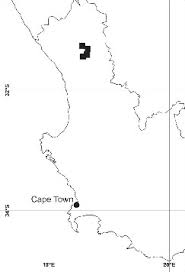 Image result for Sarcocornia decumbens