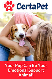 Click Here To Register Your Pup As An Emotional Support Anima Emotional Support Animal Emotional Support Dog Emotional Support