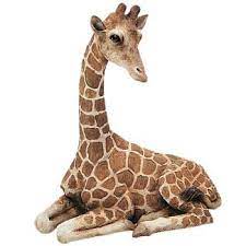Ceramic giraffe statue/figurine 11 tall beautiful!!!!! Ceramic Giraffe Figurine Ceramic Giraffe Animals Ceramic Animals Large Figurine Wild Animal Ceramic Large Giraffe Giraffe Figurine Collectibles Art Collectibles Kientructhanhdat Com