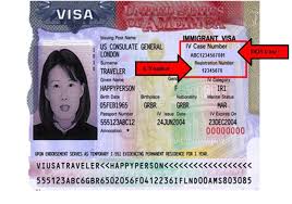 Immigration law allows a u.s. Alien Registration Number Explained What Is A Uscis A Number