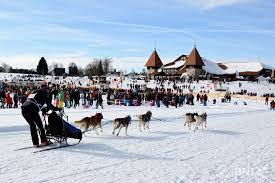 Les deux dernières éditions se sont déroulées sans neige. Des Chiens La Siberie Et Un Champion Du Monde Rjb Votre Radio Regionale
