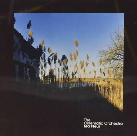 Cover art for To Build A Home by The Cinematic Orchestra ft. Patrick Watson