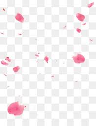 Rose Petals Png Rose Roses Red Rose Petal White Rose Petals Rose Gold Rose Border Rose Petal Floating Petals Cleanpng Kisspng Pngtree provides millions of free png, vectors, clipart images and psd graphic resources for designers.| 128584
