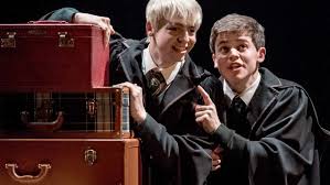 He is a student in harry potter's year belonging in the slytherin house. The Harry Potter Universe Still Can T Translate Its Gay Subtext To Text It S A Problem Vox