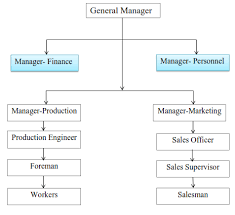 What Are The Types Of Organizational Structure Examples Of