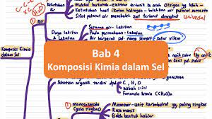 Berdasarkan komposisi kimianya, protein digolongkan menjadi dua, yaitu protein sederhana dan protein gabungan. Biologi Spm T4 Bab 4 Komposisi Kimia Dalam Sel Youtube