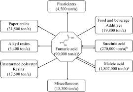 Reaction 1,3 Butadiene To Maleic Acid Gives Cis Product While Fumaric Acid  Gives Trans Product - Brainly.In
