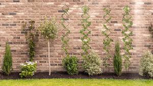 Climbing plants with flowers australia. Metal Frame Bracket Display Stand Garden Supplies 120cm Climbing Vines And Flowers Stands Plant Tower Obelisk Garden Trellis Plant Support For Roses Tomatoes Gardening Patio Lawn Garden Radio666 Com