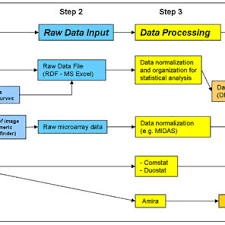 Flow Chart Of The Analytical Tool Box For Biofilm Analysis