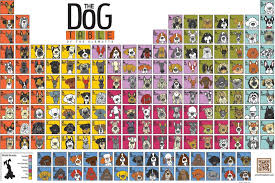 Features Whimsical Illustrations Of The 170 American Kennel Club Dog Breeds And A Few Of Our Favorite Sou Dog Table Dog Breeds American Kennel Club Dog Breeds