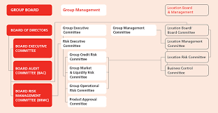 Dbs Annual Report 2013 Reports Risk Management