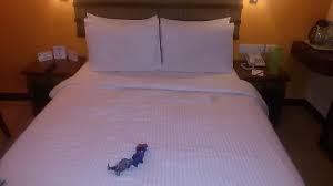 View 43 photos and read 833 reviews. Quality Inn Sabari Resorts Picture Of Benzz Park Kodai Kodaikanal Tripadvisor