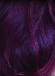 Shampoo For Dark Purple Hair Dark Purple Hair Purple Hair Shampoo For Purple Hair