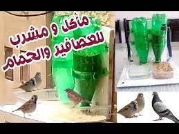 صنع مأكله ومشرب للعصافير والحمام والطيور الخارجية diy youtube