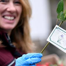 Wayne florist closes shop, delivers excess flowers to residents' doorsteps