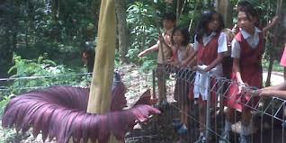 We did not find results for: Mudahnya Belajar Ilmu Pelet Merdeka Com