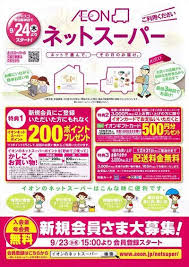 イオンネットスーパー チラシ 折込チラシ 広告デザイン