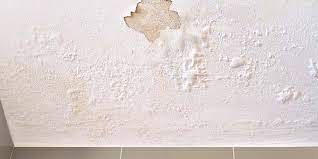 Peinture mur défaut / zzzsyzxl salon decoration peinture paysage plante verte simple chambre canape peinture murale fond combinaison par defaut cadre noir h 40 60 amazon fr cuisine maison. Peinture Qui Cloque Ou Qui S Enleve Que Faire