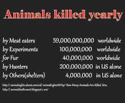 We Don T Need To Eat Meat We Don T Need To Experiment On Animals We Don T Need Their Fur Or Skin Going Vegan Why Vegan Animal Abuse