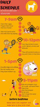 Daily Schedule On Dogs Dog Care Tips Pet Health Care Puppy Care