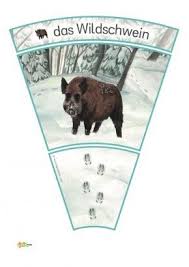 5 Kindergarten Kigaportal Winter Spuren Schnee Waldtiere Reh Dachs Fuchs Eichhoe 5kindergartenkigaportalwinters Schneewald Tierspuren Im Schnee Waldtiere