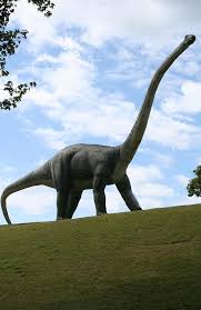 They Re Back Brontosaurus May Well Be A Distinct Type Of Long Necked Dinosaur After All Brontosaurus Long Neck Dinosaur Dinosaur