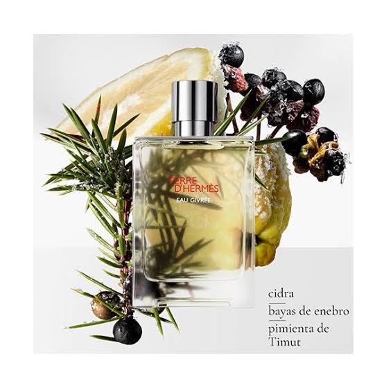 Terre Eau Givree HERMÈS Eau Parfum Hombre precio | DRUNI.es