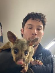 I lived in Upper Holloway and Finsbury's park Hanley road went to archway  school