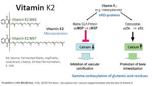 Best vitamin k2 supplement 2020. Vitamin K2 Plays Key Role In Bone Health American Bone Health