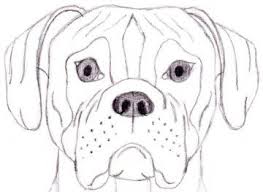 Drawn Pitbull Angry Animal Pencil And In Color Drawn Pitbull Angry Animal Good Ideas In 2020 Dog Face Drawing Dog Drawing Dog Art