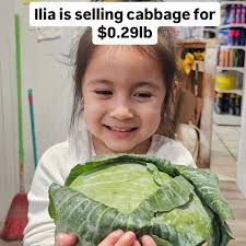 Perfil Cerro Grande Meat Market mba'éva