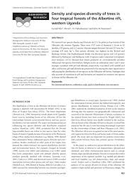 Image result for Pauridiantha dewevrei