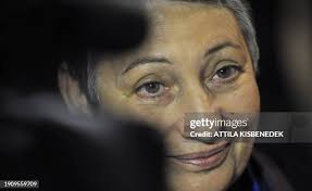 28 Millenaris Theatre Of Budapest Stock Photos, High-Res Pictures, and  Images