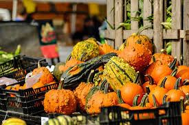 Thank you to all who joined us yesterday at the Birmingham Farmers Market!  We have just ONE more market, this Sunday, October 29, from 9 a.m. to 2  p.m. for our end