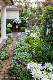 Our Garden In Southern Living Side Garden Modern Garden Garden Design