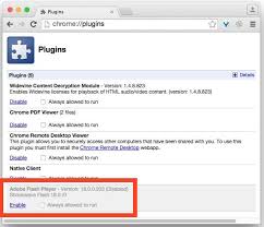 Turn Off The Flash Plugin In Google Chrome Flash How To Uninstall Chrome