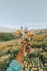 Vsco Insta Alexgowon Alexgowon Nature Photography Flowers Photography Nature Aesthetic