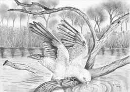 Imagine drawings of exotic wildlife and aromatic flowers or refreshing water scenes surrounding your child's room or living room. Realistic Nature Drawing At Paintingvalley Com Explore Collection Of Realistic Nature Drawing