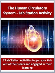 Circulatory System Stations Worksheets Teaching Resources Tpt